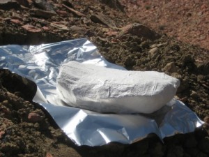 The plaster jacket we made for the rib we found.