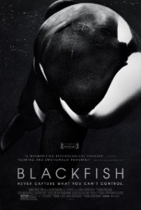 Blackfish Movie Poster