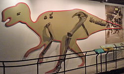 Hadrosaurus foulkii, which can be seen today at the Academy of Natural Sciences in Philadelphia