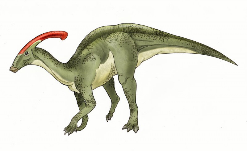 Parasaurolophus by Eurwentala