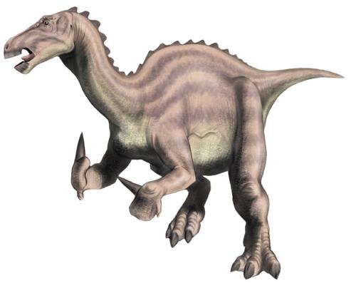 A more modern interpretation of Iguanodon