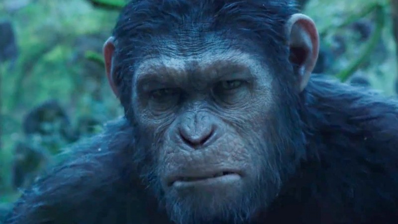 Dawn of the Planet of the Apes Movie Shot