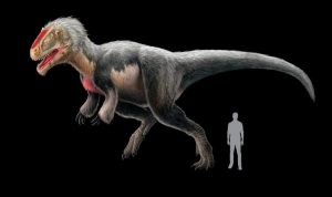 A Brief Overview of the Dinosaurs: Part 6, Coelurosauria