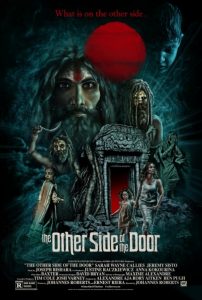 The Other Side of the Door Review Movie Poster