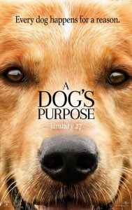 A Dog's Purpose Movie Poster