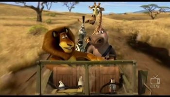 Madagascar 2 Movie Shot