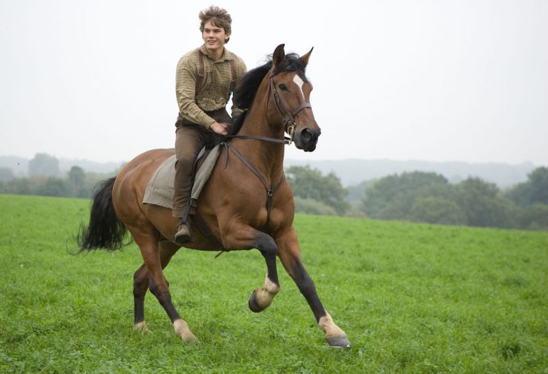 War Horse Movie Shot